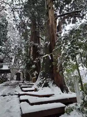 白山比咩神社(石川県)