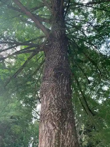 徳蔵寺(茨城県)