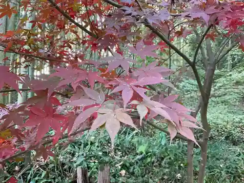 教林坊(滋賀県)