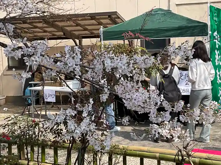 墨染寺(桜寺)(京都府)