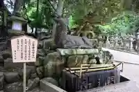 春日大社(奈良県)