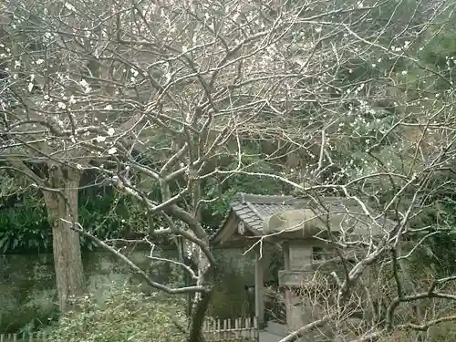 安國論寺（安国論寺）の自然