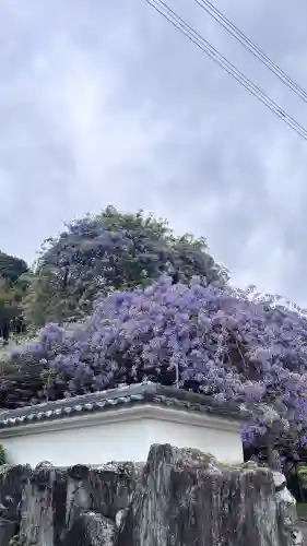 神光寺の{uncategorized: "未分類", other: "その他", undefined: "問題あり", building: "その他建物", grave: "お墓", sacred_gate: "鳥居", guardian: "狛犬", statue: "像", buddha: "仏像", history: "歴史", nature: "自然", garden: "庭園", animal: "動物", pagoda: "塔", temizu: "手水舎", mountain_gate: "山門・神門", sanctuary: "本殿・本堂", subordinate: "末社・摂社", art: "芸術", scenery: "景色", jizo: "地蔵", ema: "絵馬", goshuin: "御朱印", omikuji: "おみくじ", items: "授与品その他", amulet: "お守り", goshuincho: "御朱印帳", eats: "食事", festival: "お祭り", votive_dance: "神楽", shichigosan: "七五三参", wedding: "結婚式", experience: "体験その他", initially: "初詣", around: "周辺", anti_infection: "感染症対策"}