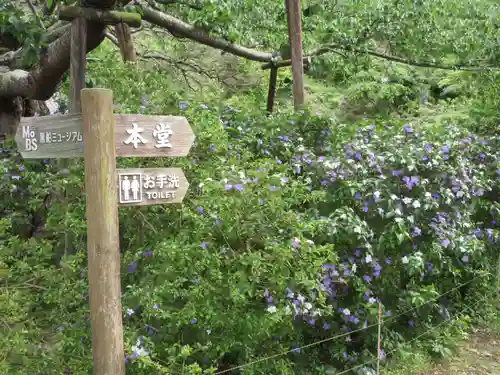 了仙寺(静岡県)