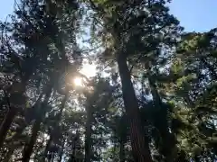 平泉寺白山神社の自然