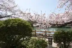 長岡天満宮の周辺