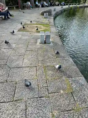 興福寺 南円堂(奈良県)