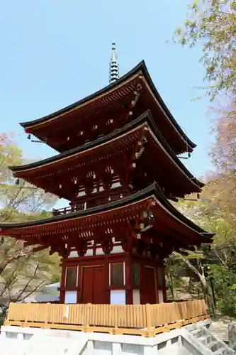 岡寺（龍蓋寺）(奈良県)