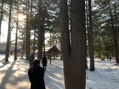 北海道神宮のその他建物