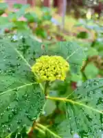 蚊里田八幡宮(長野県)