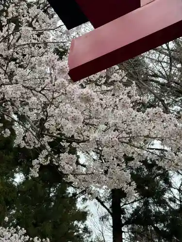 吾妻神社の{uncategorized: "未分類", other: "その他", undefined: "問題あり", building: "その他建物", grave: "お墓", sacred_gate: "鳥居", guardian: "狛犬", statue: "像", buddha: "仏像", history: "歴史", nature: "自然", garden: "庭園", animal: "動物", pagoda: "塔", temizu: "手水舎", mountain_gate: "山門・神門", sanctuary: "本殿・本堂", subordinate: "末社・摂社", art: "芸術", scenery: "景色", jizo: "地蔵", ema: "絵馬", goshuin: "御朱印", omikuji: "おみくじ", items: "授与品その他", amulet: "お守り", goshuincho: "御朱印帳", eats: "食事", festival: "お祭り", votive_dance: "神楽", shichigosan: "七五三参", wedding: "結婚式", experience: "体験その他", initially: "初詣", around: "周辺", anti_infection: "感染症対策"}
