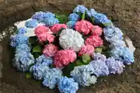 田村神社の手水舎