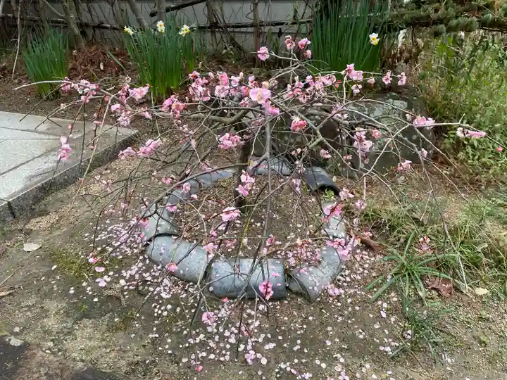 讃岐國分寺(香川県)