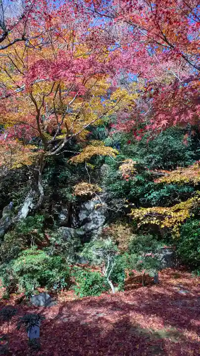 法金剛院(京都府)