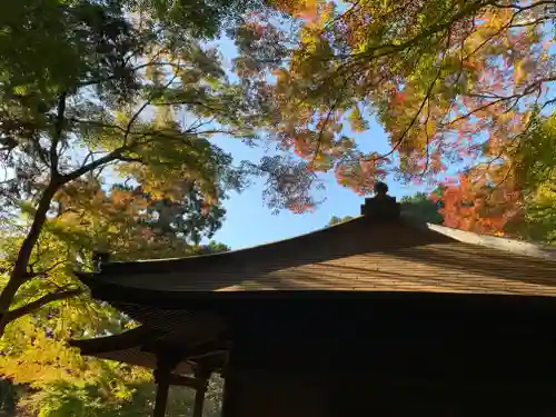 普門寺(切り絵御朱印発祥の寺)の自然