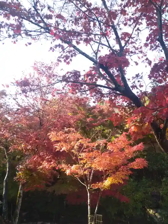粟島神社(広島県)