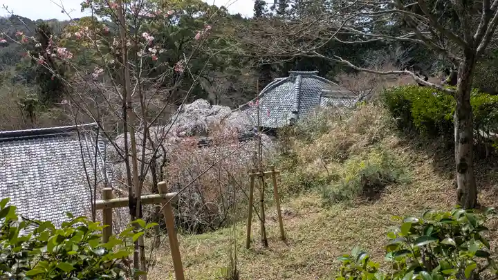 十輪寺(京都府)