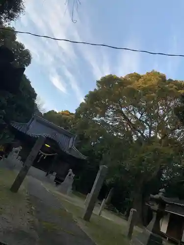 玉祖神社の本殿