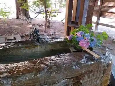琴似神社の手水舎