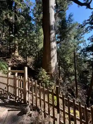 玉置神社(奈良県)