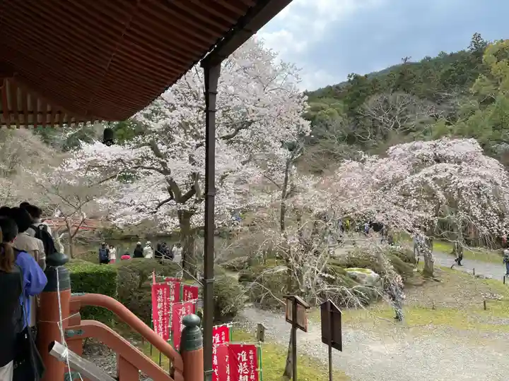 醍醐寺(京都府)