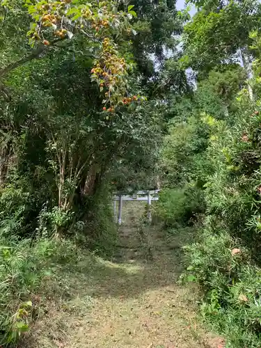 天満神社の鳥居