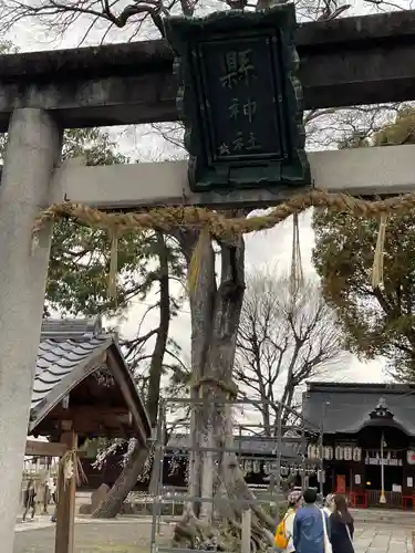 縣神社(京都府)