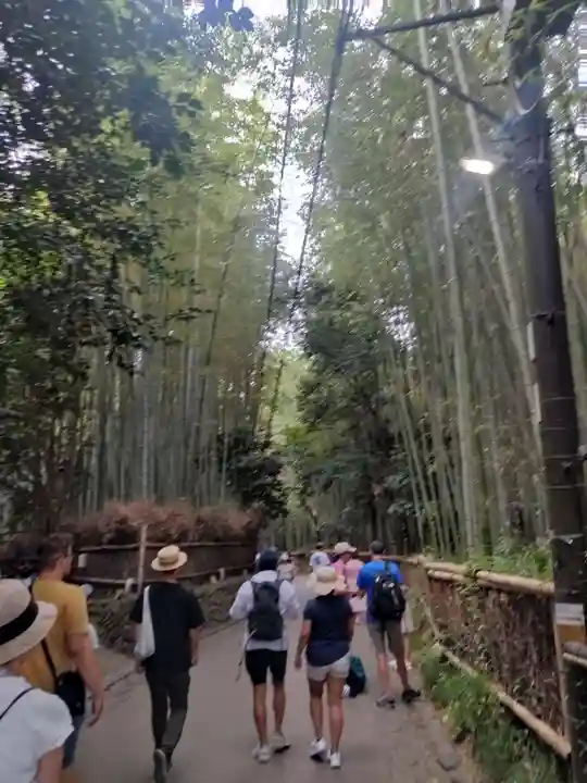 野宮神社(京都府)