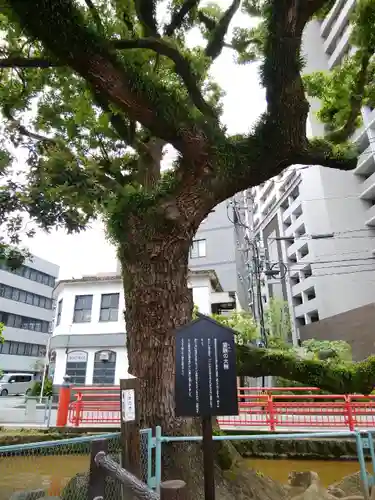 天津神社の自然