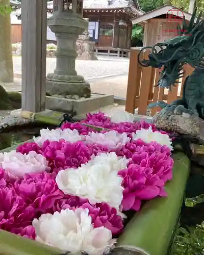 立志神社(滋賀県)