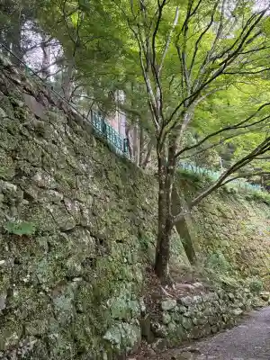鳳来山東照宮(愛知県)