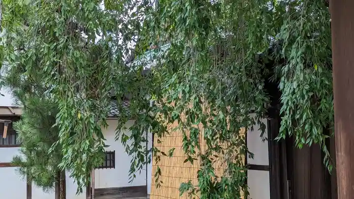 善明院(京都府)