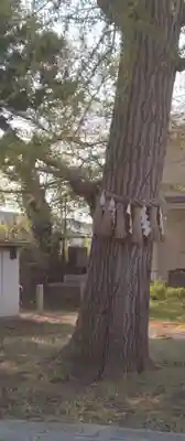 稲荷神社(宮城県)