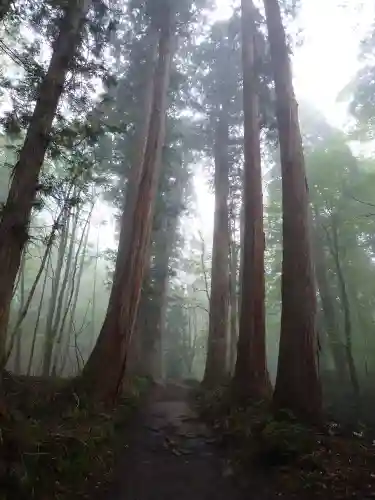 戸隠神社奥社(長野県)