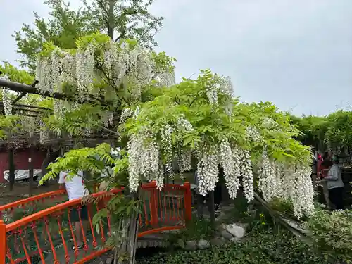 行興寺(静岡県)