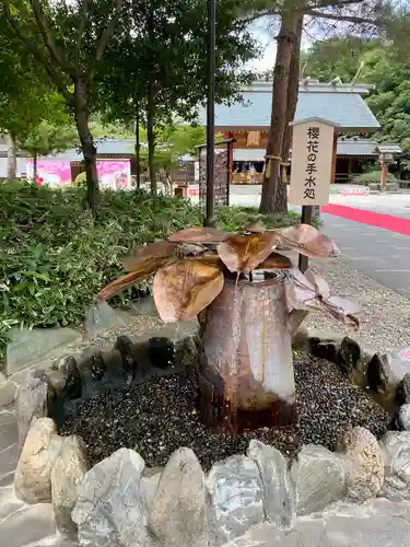 櫻木神社(千葉県)
