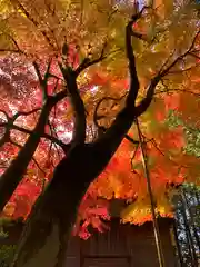 滑川神社 - 仕事と子どもの守り神(福島県)