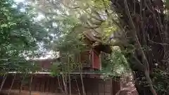 畑子安神社の本殿