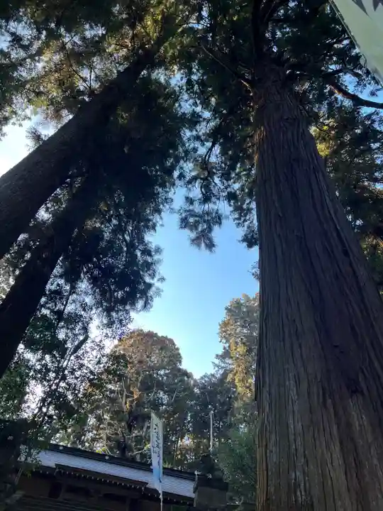 大宮温泉神社(栃木県)