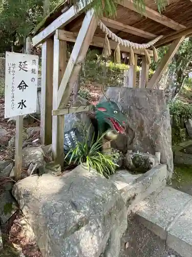 飛龍八幡宮(山口県)