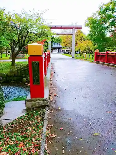 札幌護國神社の鳥居