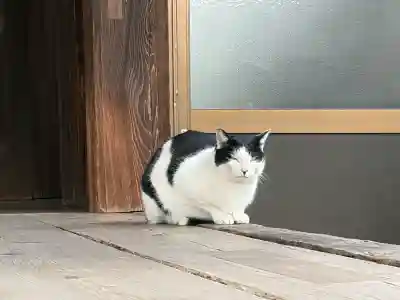 三蔵稲荷神社の{uncategorized: "未分類", other: "その他", undefined: "問題あり", building: "その他建物", grave: "お墓", sacred_gate: "鳥居", guardian: "狛犬", statue: "像", buddha: "仏像", history: "歴史", nature: "自然", garden: "庭園", animal: "動物", pagoda: "塔", temizu: "手水舎", mountain_gate: "山門・神門", sanctuary: "本殿・本堂", subordinate: "末社・摂社", art: "芸術", scenery: "景色", jizo: "地蔵", ema: "絵馬", goshuin: "御朱印", omikuji: "おみくじ", items: "授与品その他", amulet: "お守り", goshuincho: "御朱印帳", eats: "食事", festival: "お祭り", votive_dance: "神楽", shichigosan: "七五三参", wedding: "結婚式", experience: "体験その他", initially: "初詣", around: "周辺", anti_infection: "感染症対策"}