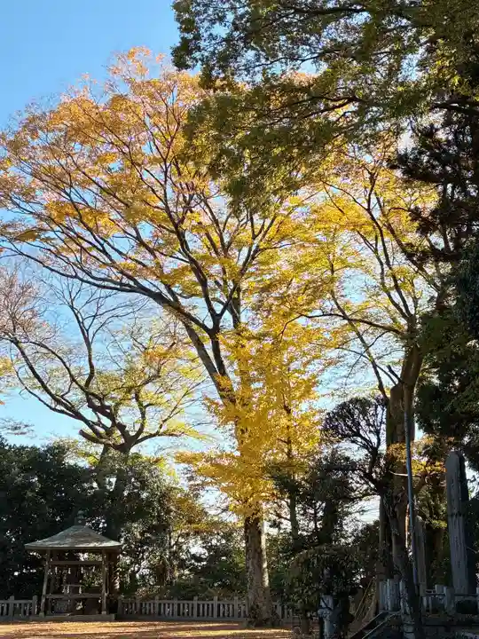 大生郷天満宮(茨城県)