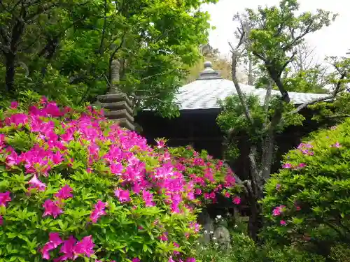 浄光明寺の庭園