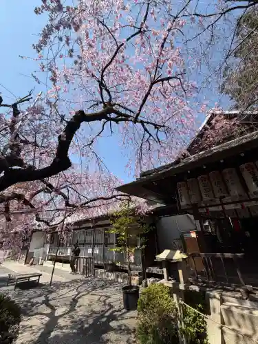 水火天満宮の{uncategorized: "未分類", other: "その他", undefined: "問題あり", building: "その他建物", grave: "お墓", sacred_gate: "鳥居", guardian: "狛犬", statue: "像", buddha: "仏像", history: "歴史", nature: "自然", garden: "庭園", animal: "動物", pagoda: "塔", temizu: "手水舎", mountain_gate: "山門・神門", sanctuary: "本殿・本堂", subordinate: "末社・摂社", art: "芸術", scenery: "景色", jizo: "地蔵", ema: "絵馬", goshuin: "御朱印", omikuji: "おみくじ", items: "授与品その他", amulet: "お守り", goshuincho: "御朱印帳", eats: "食事", festival: "お祭り", votive_dance: "神楽", shichigosan: "七五三参", wedding: "結婚式", experience: "体験その他", initially: "初詣", around: "周辺", anti_infection: "感染症対策"}