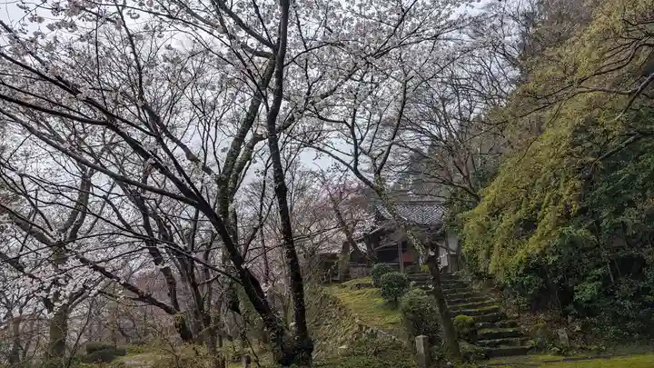 勝持寺(花の寺)(京都府)