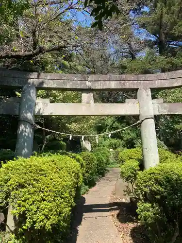 武州白子熊野神社の鳥居