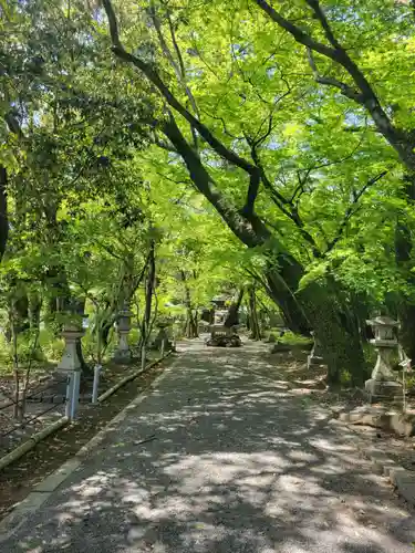 山内神社(高知県)