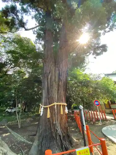 息栖神社(茨城県)