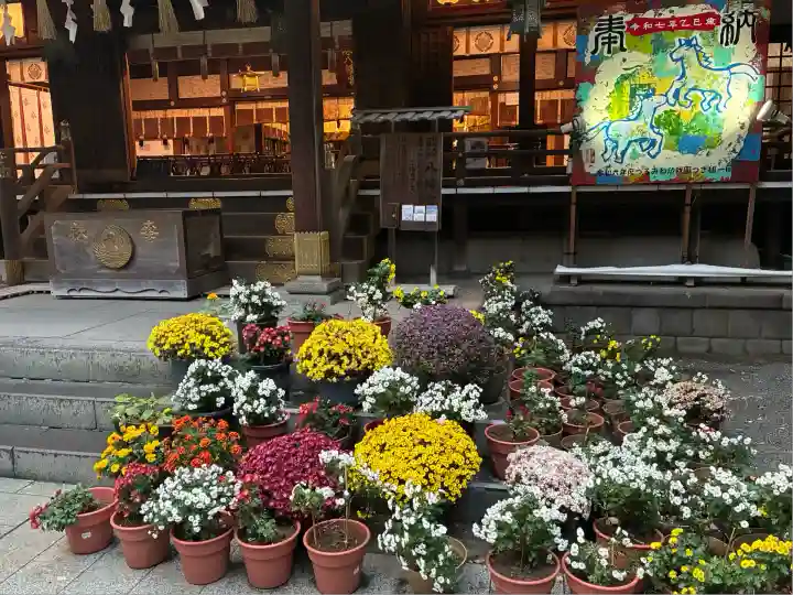 平塚八幡宮(神奈川県)